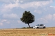 BMW X6 Performance - Az első tesztvezetés a világon
