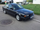 gulyi61