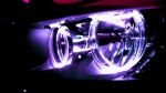carpete